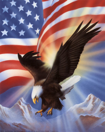 Name:  american-eagle-and-flag-ii.jpg
Views: 78
Size:  44.4 KB